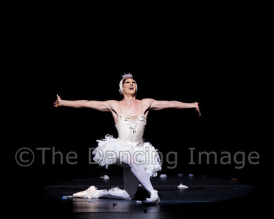Dying Swan-0582