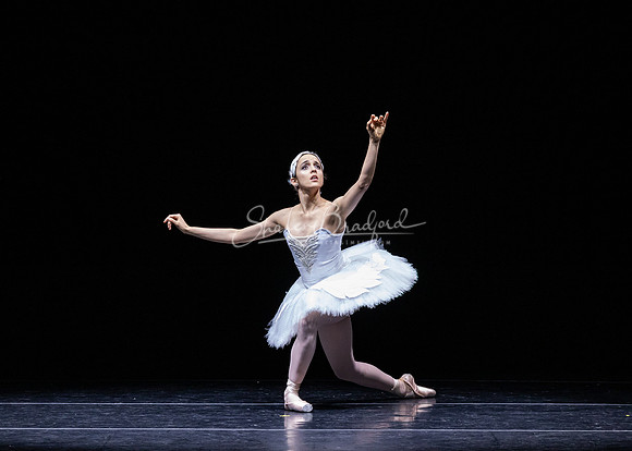 Dying Swan pc Sharen Bradford-1268