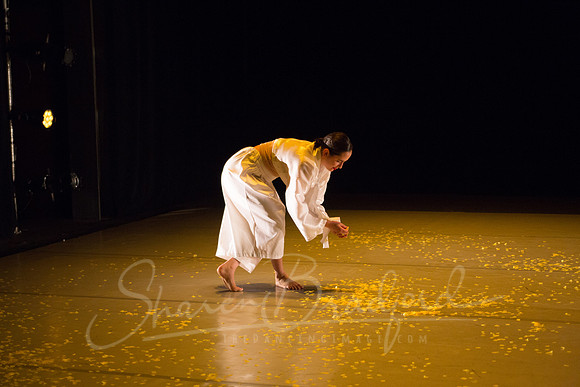 DCCD Yellow - pc Sharen Bradford-0085