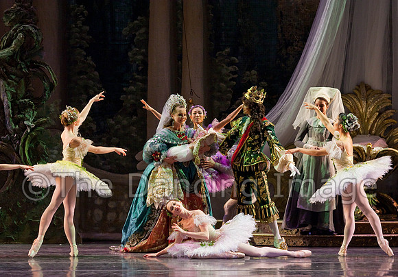 TB Sleeping Beauty Wed.-0161