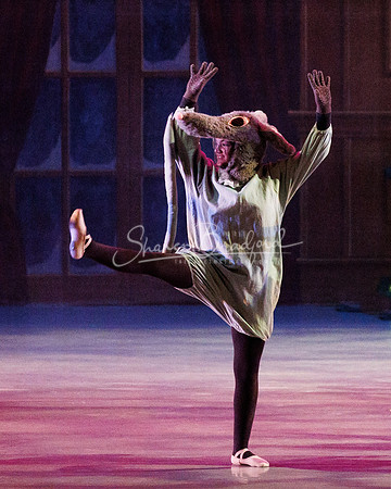 CPA Nutcracker 11-26-23 pc Sharen Bradford-6943