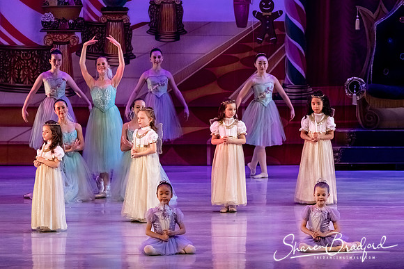 CCBT Nutcracker 19 pc Sharen Bradford-5342