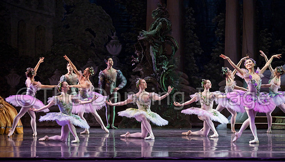 TB Sleeping Beauty Wed.-0084