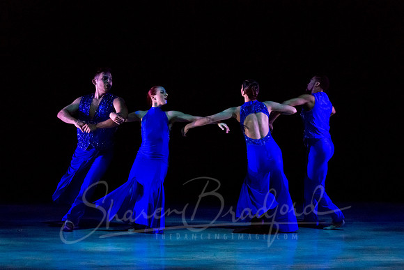 Following Echoes - pc Sharen Bradford-3358