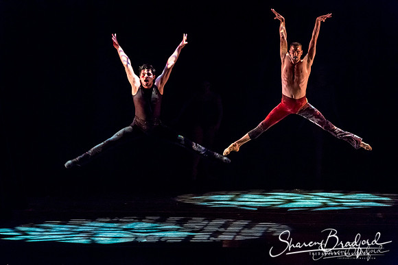 Stardust-pc Sharen Bradford-1182