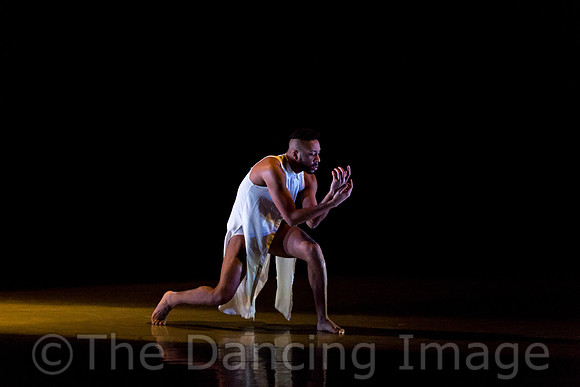 Elisa Monte Dance-7595