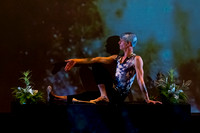 Afternoon of a Faun - pc Sharen Bradford-0807