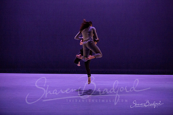 Lingering Shadow pc Sharen Bradford-7040