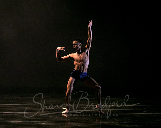 DBDT Encore pc Sharen Bradford-5047
