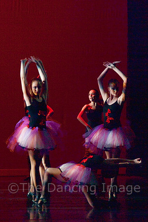 Cirque Noir-0089