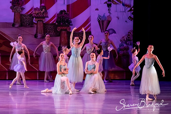 CCBT Nutcracker 19 pc Sharen Bradford-5381