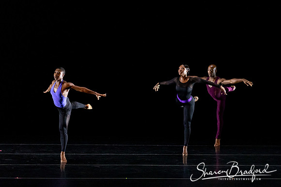 DBDT Execution of a Sentiment pc Sharen Bradford-1055