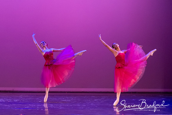 Waltz of the Flowers pc Sharen Bradford-2757