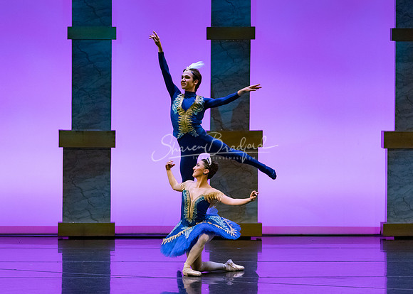 Ballet NTX Sleeping Beauty pc Sharen Bradford-1826