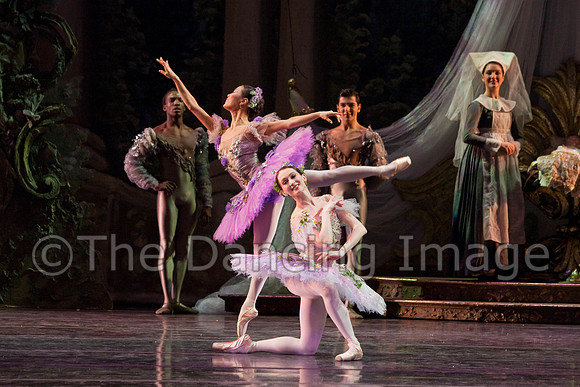 TB Sleeping Beauty Wed.-0118-2
