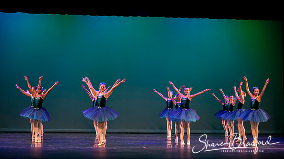 Khachaturian Waltz pc Sharen Bradford-3652