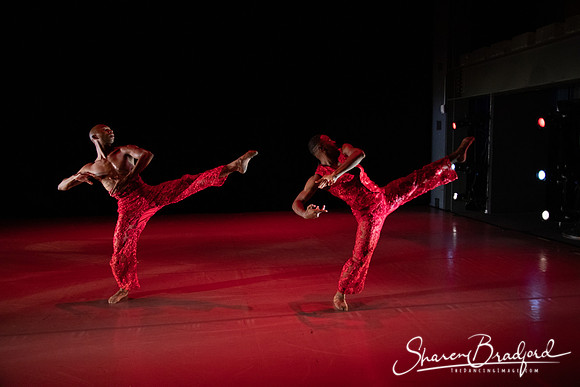 NISSI pc Sharen Bradford-3013