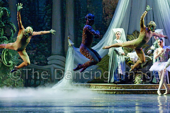 TB Sleeping Beauty Wed.-0132-2