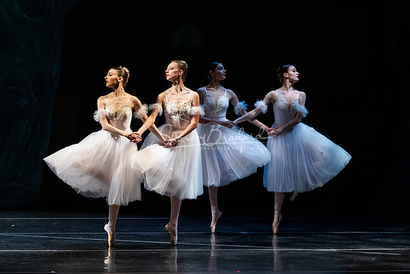 Ballet NTX Sleeping Beauty pc Sharen Bradford-1503
