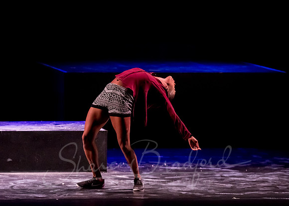 Camille A. Brown and Dancers pc Sharen Bradford-3362