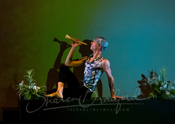 Afternoon of a Faun - pc Sharen Bradford-0796