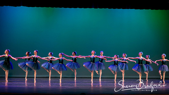 Khachaturian Waltz pc Sharen Bradford-3716