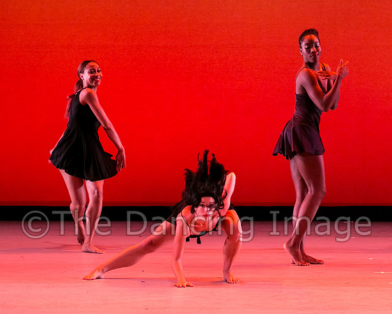 DBDT Smoke-2206