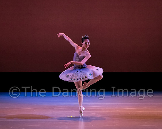 Le Corsaire-3065
