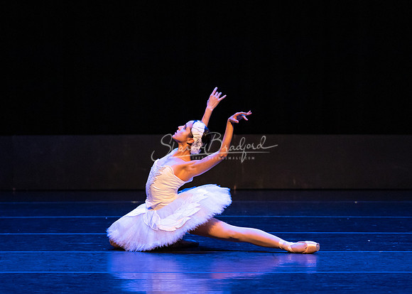 Dying Swan pc Sharen Bradford-1226