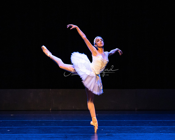Dying Swan pc Sharen Bradford-1199