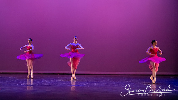 Waltz of the Flowers pc Sharen Bradford-2845