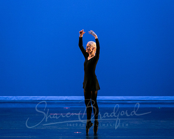 Suzelle Poole- Romance-1279