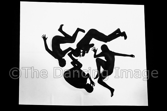 IMG_9329