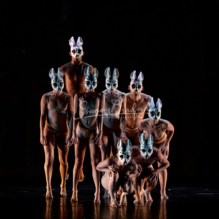 Momix ALICE 9-17-21 pc Sharen Bradford-1481