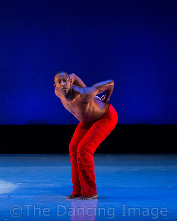 Alvin Ailey ADT-0042