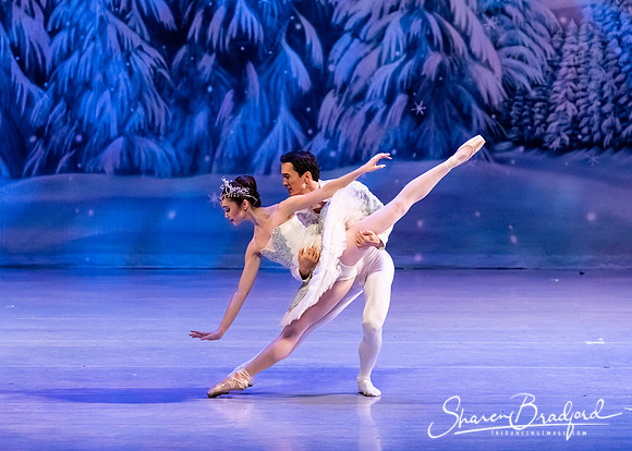 CCBT Nutcracker 19 pc Sharen Bradford-4836