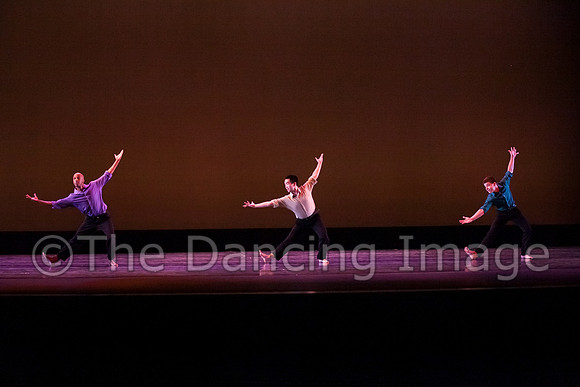 Bay Area Houston Ballet-0953