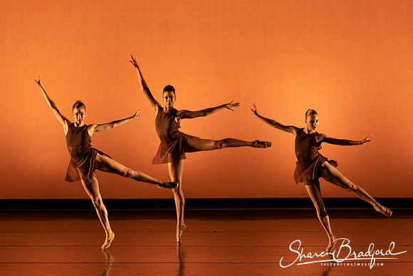 TBT Studio  pc Sharen Bradford-3948