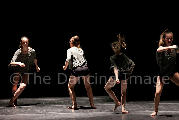 PCD-4811