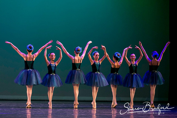 Khachaturian Waltz pc Sharen Bradford-3692