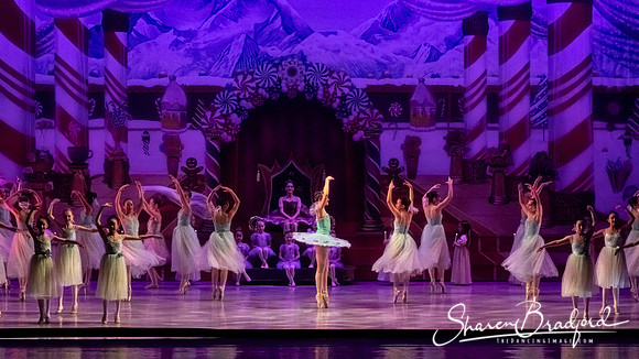 CCBT Nutcracker 19 pc Sharen Bradford-5267