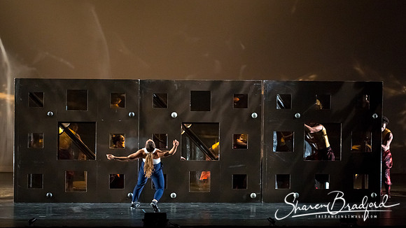 DIAVOLO - Voyage pc Sharen Bradford-0363