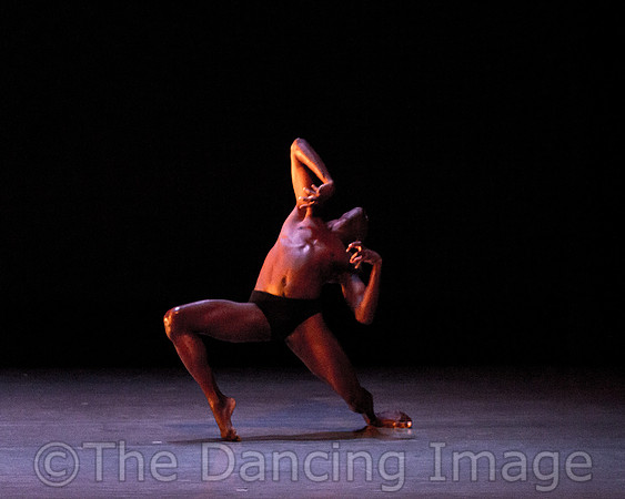 Alvin Ailey ADT-2280