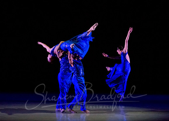 Following Echoes - pc Sharen Bradford-3327
