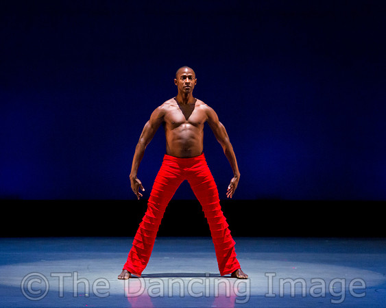 Alvin Ailey ADT-0080
