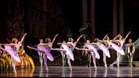 TB Sleeping Beauty Wed.-0049