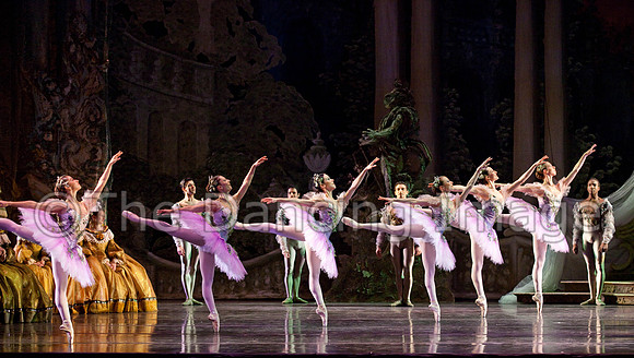 TB Sleeping Beauty Wed.-0049