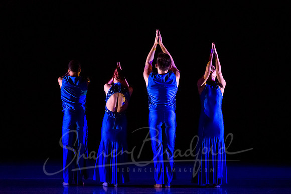 Following Echoes - pc Sharen Bradford-3463