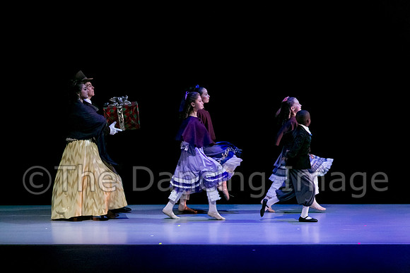 Nutcracker Sat-2730