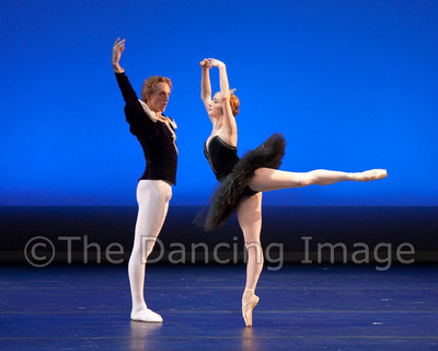 Black Swan-1167